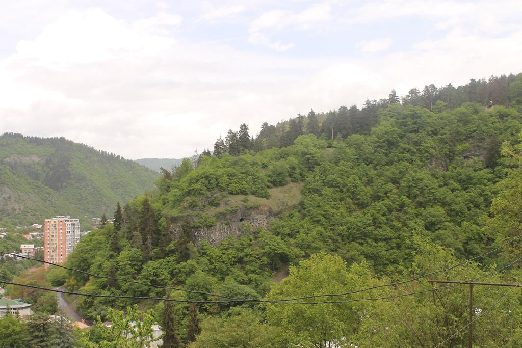 Anastasia Guesthouse Borjomi Eksteriør billede
